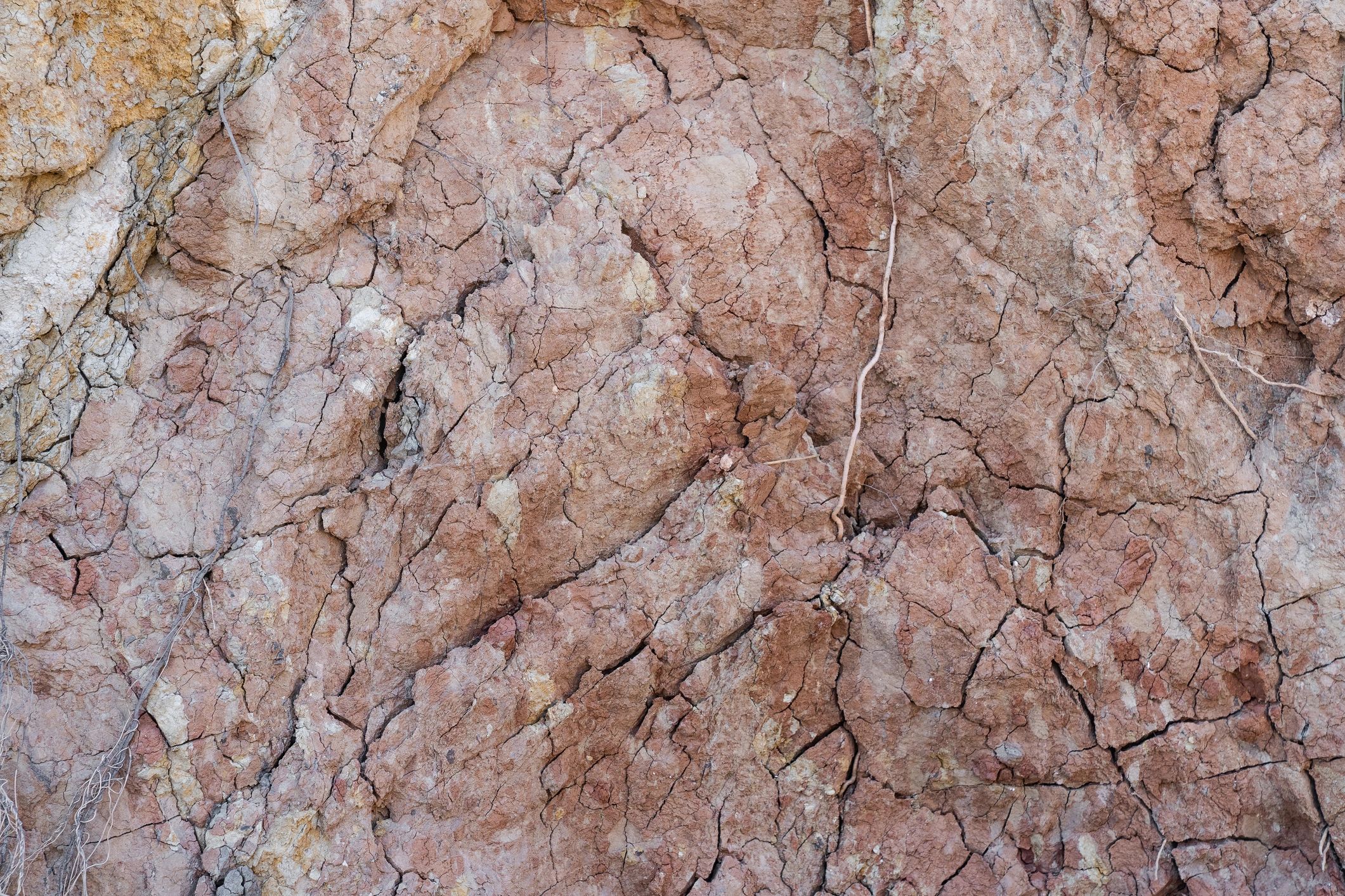 Limestone texture with erosion and oxide traces