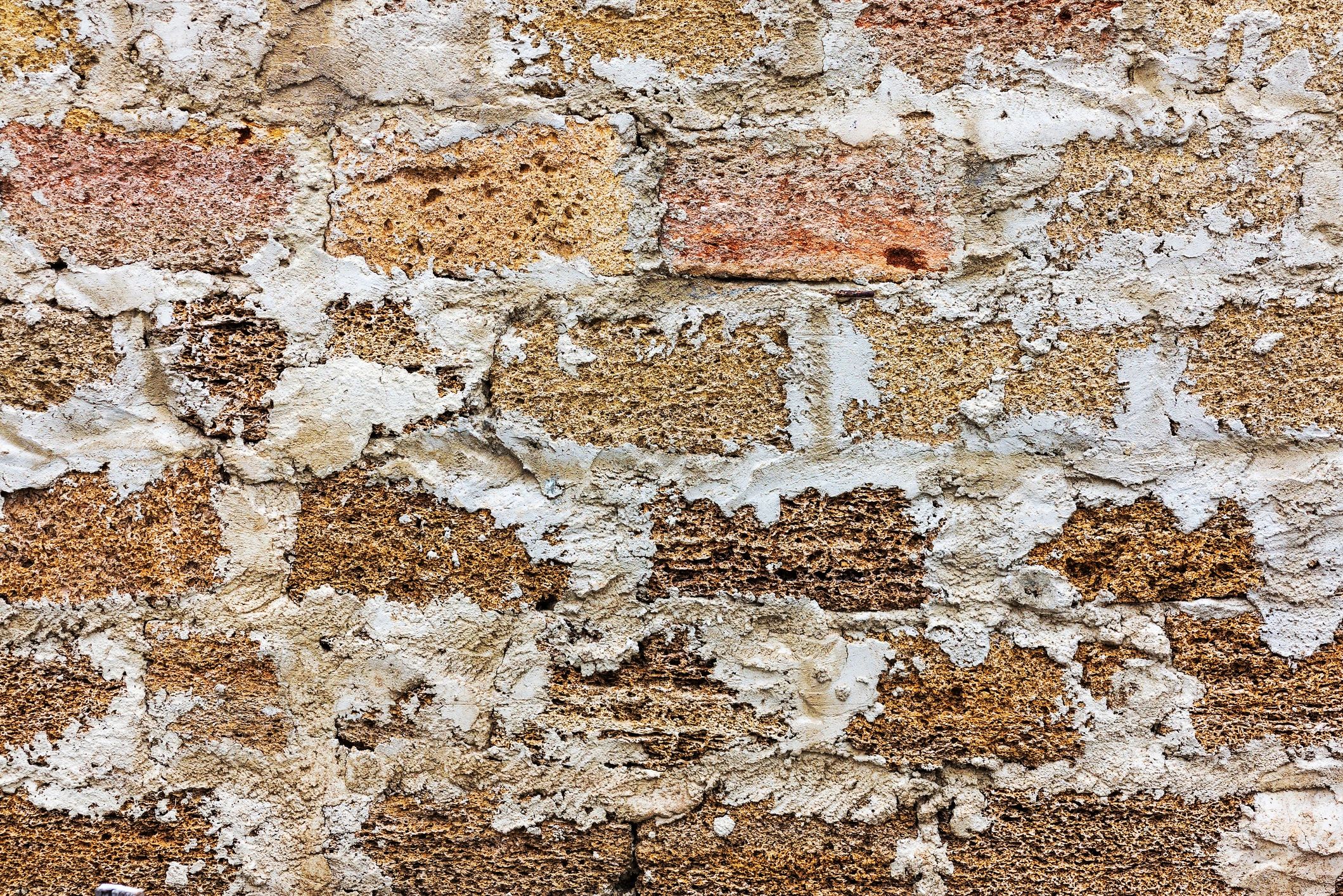 Limestone wall texture with shell-rich blocks