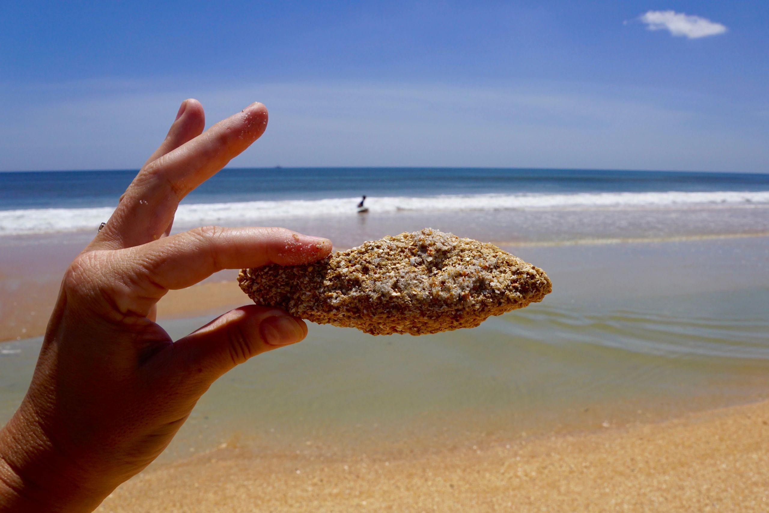 Hand holding a piece of coquina shell rock on a Florida beach