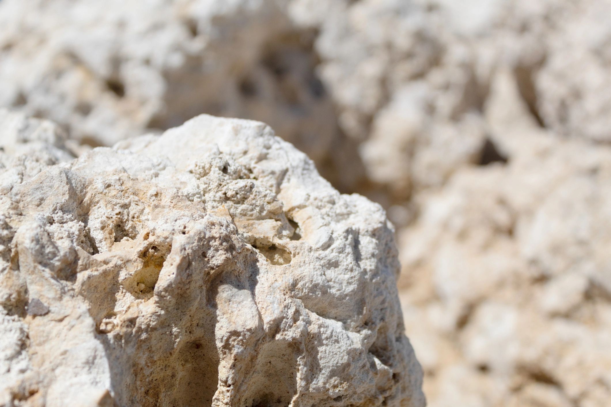 Sunlit beach rock texture in Key West, Florida