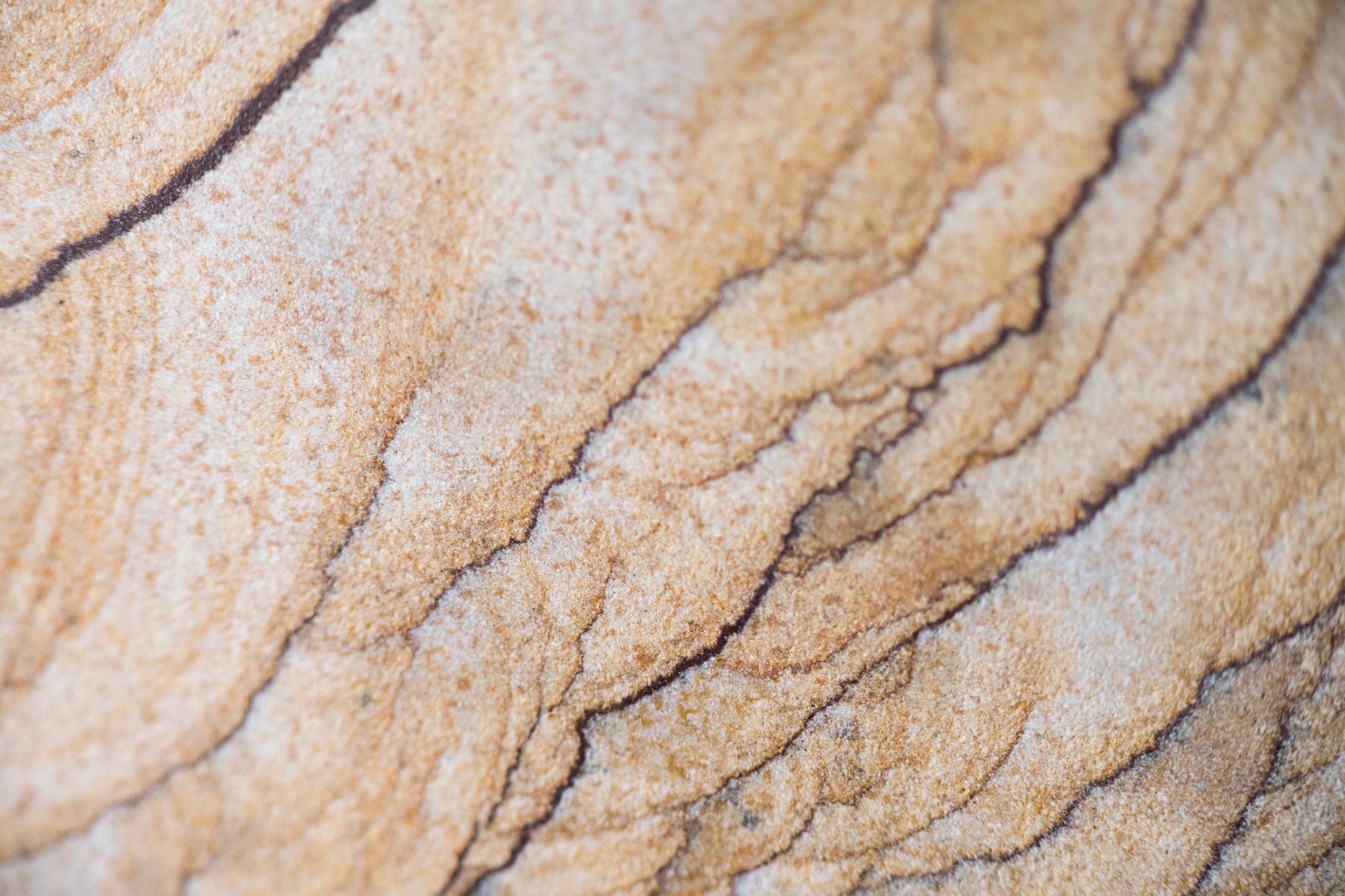 Layered sandstone texture with rippled bands