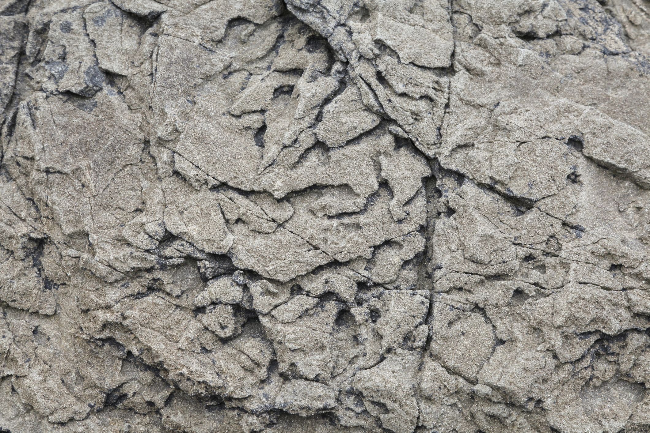 Close-up of coastal rock texture