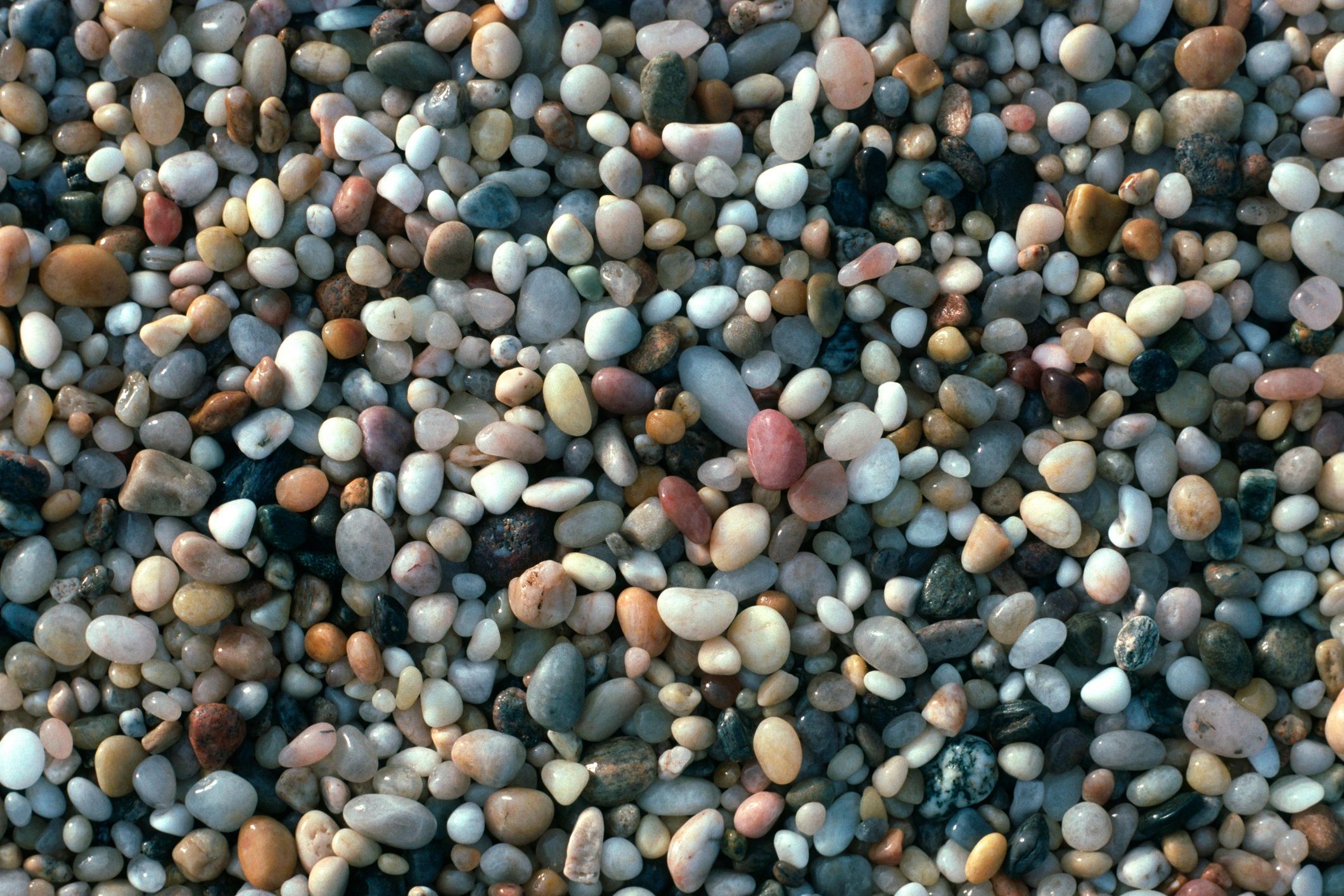 Colorful polished beach stones arranged along a shoreline