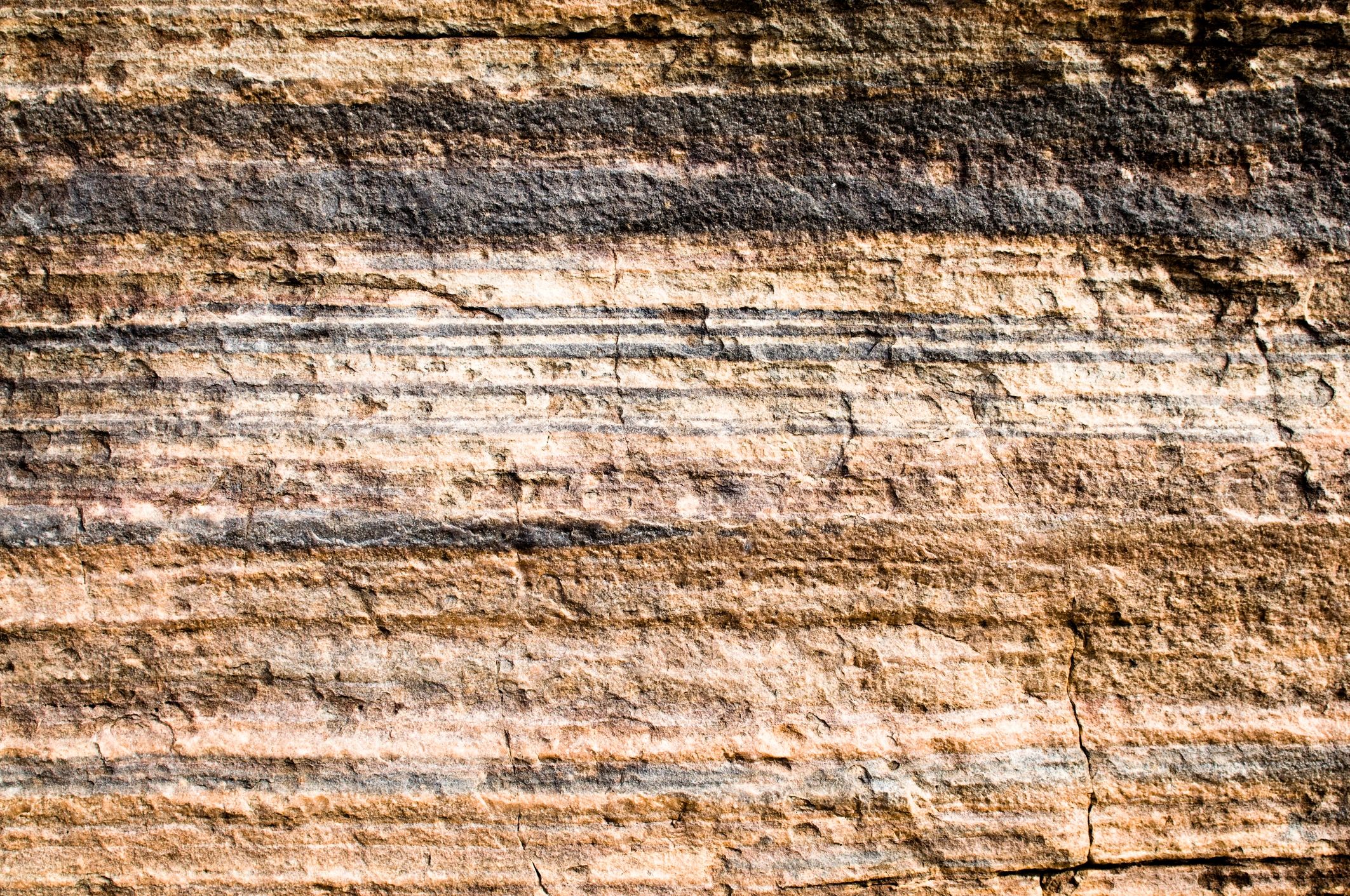 Layered rock strata on a cliff face