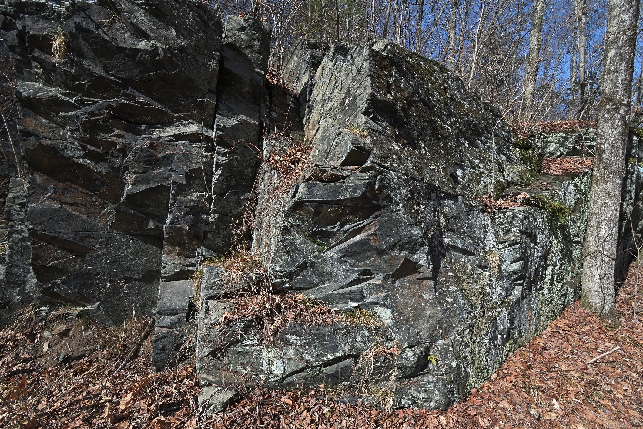 Schist outcrop in a natural landscape