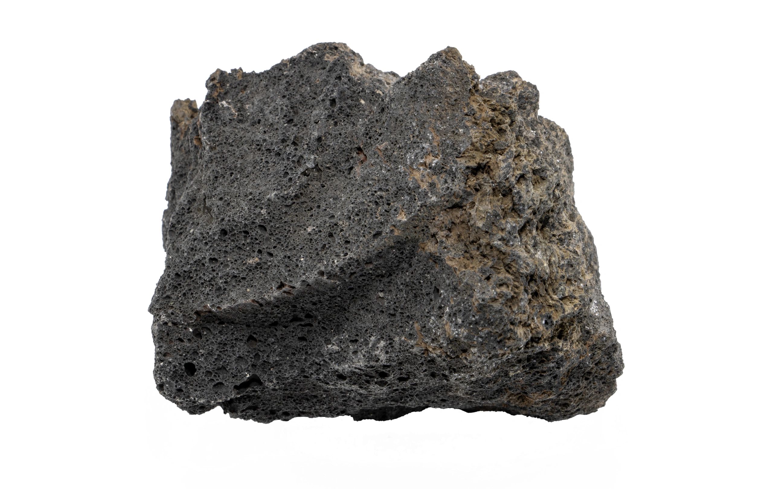 Close-up of lava rock fragment on a light background