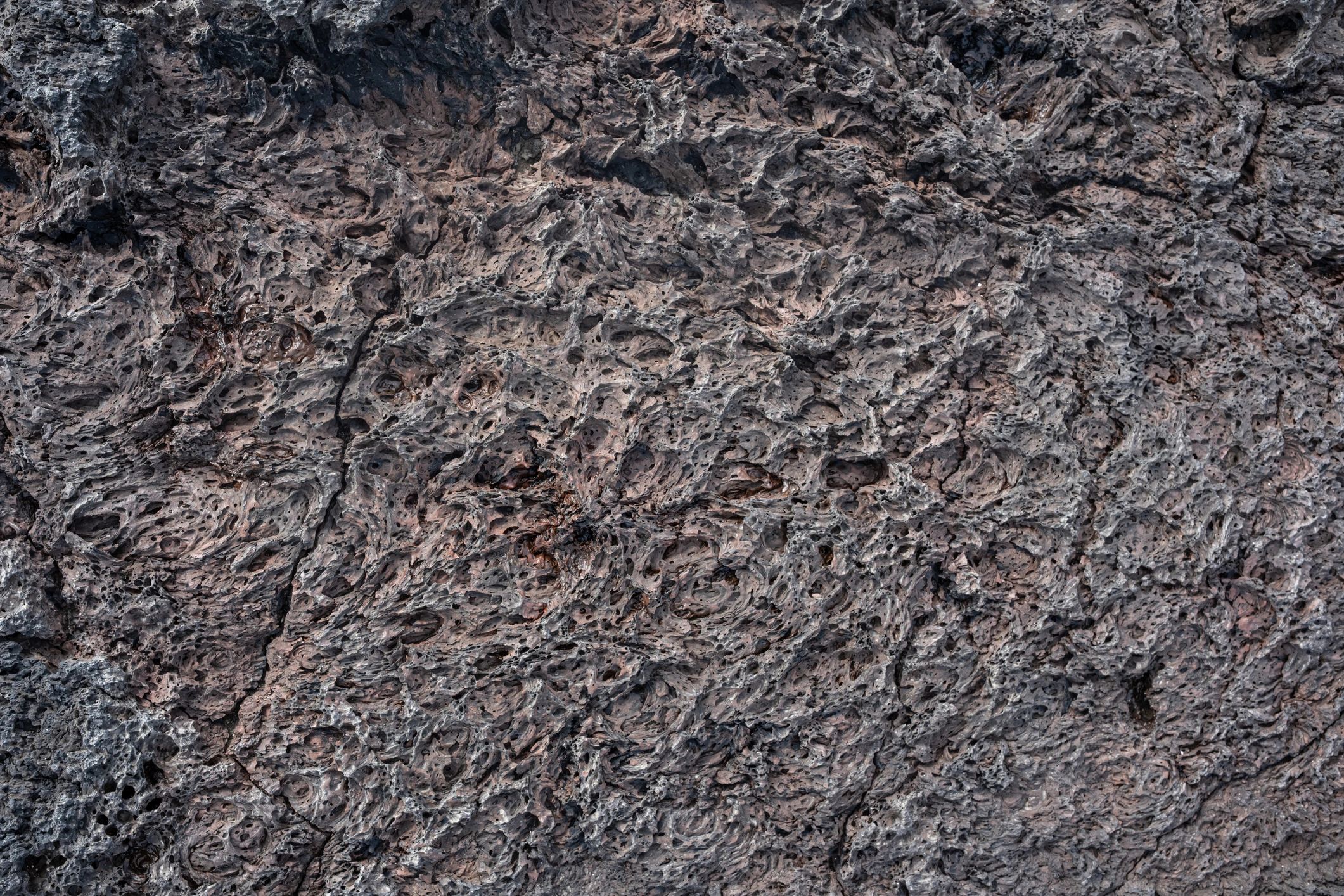 Close-up of porous lava rock texture