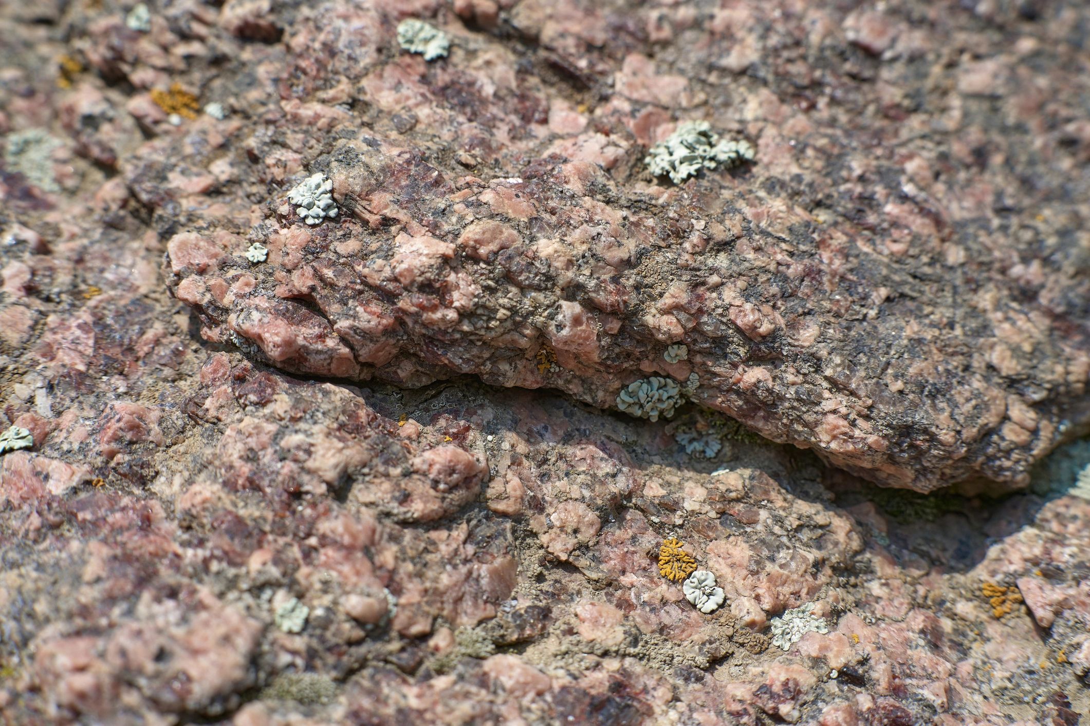Rock texture surface with lichen