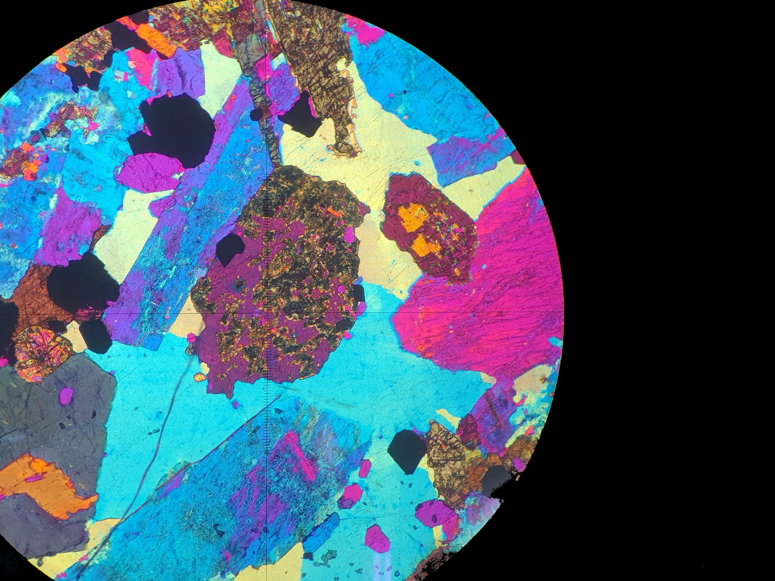 Petrographic micrograph of a rock thin section