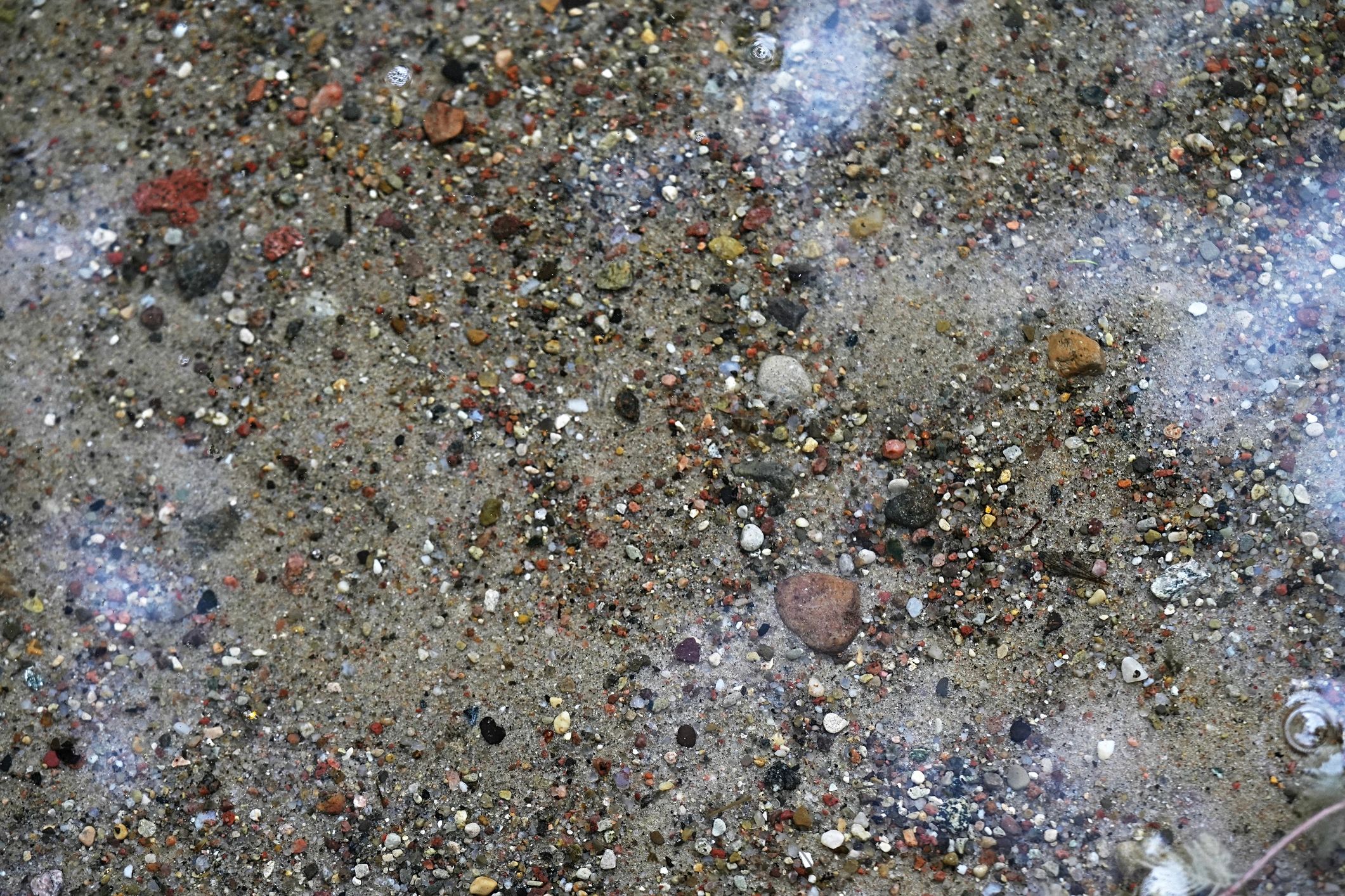 Shallow water over a riverbed with visible stones and sediment