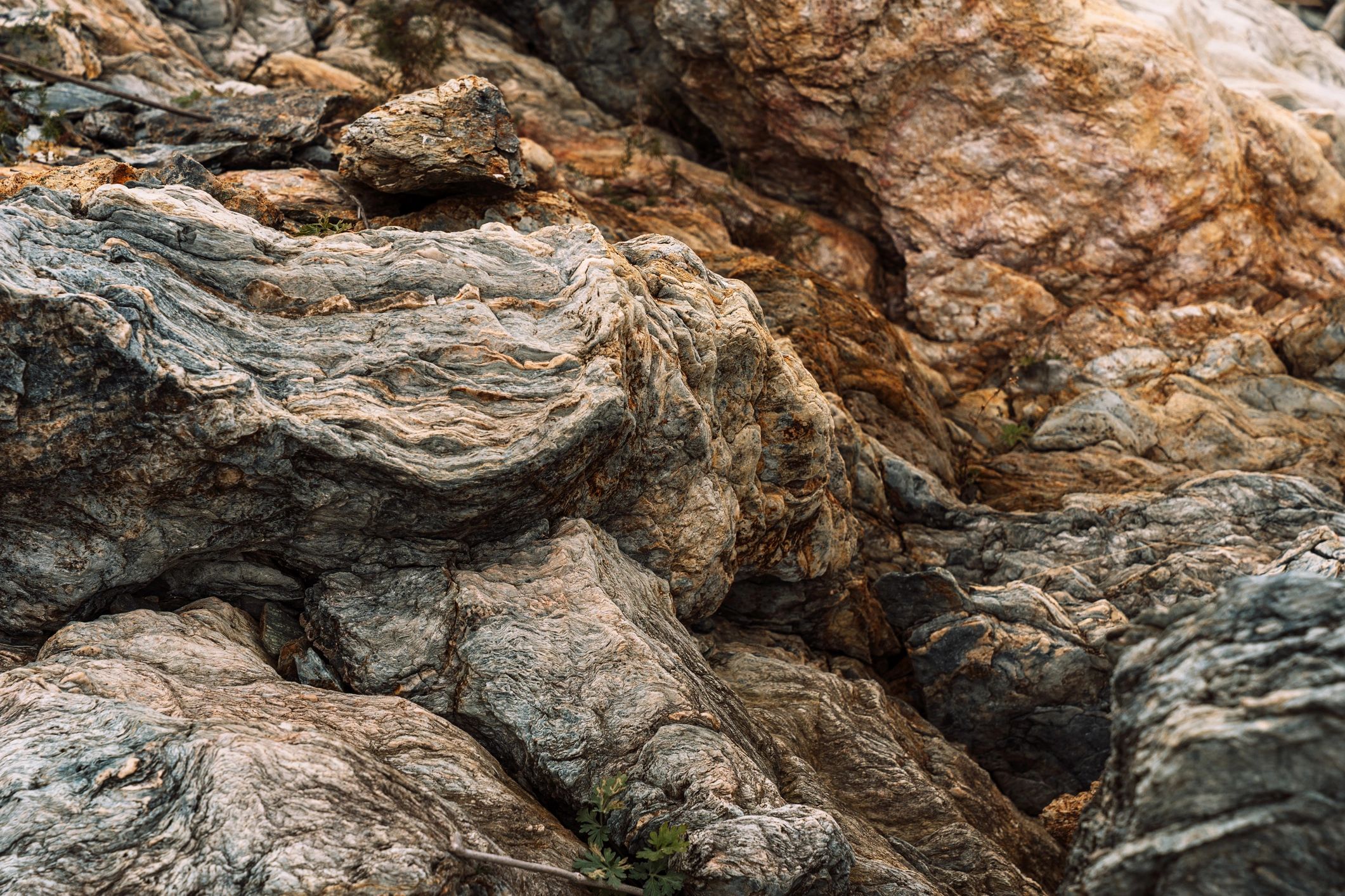 Layered sedimentary rock showing folded strata