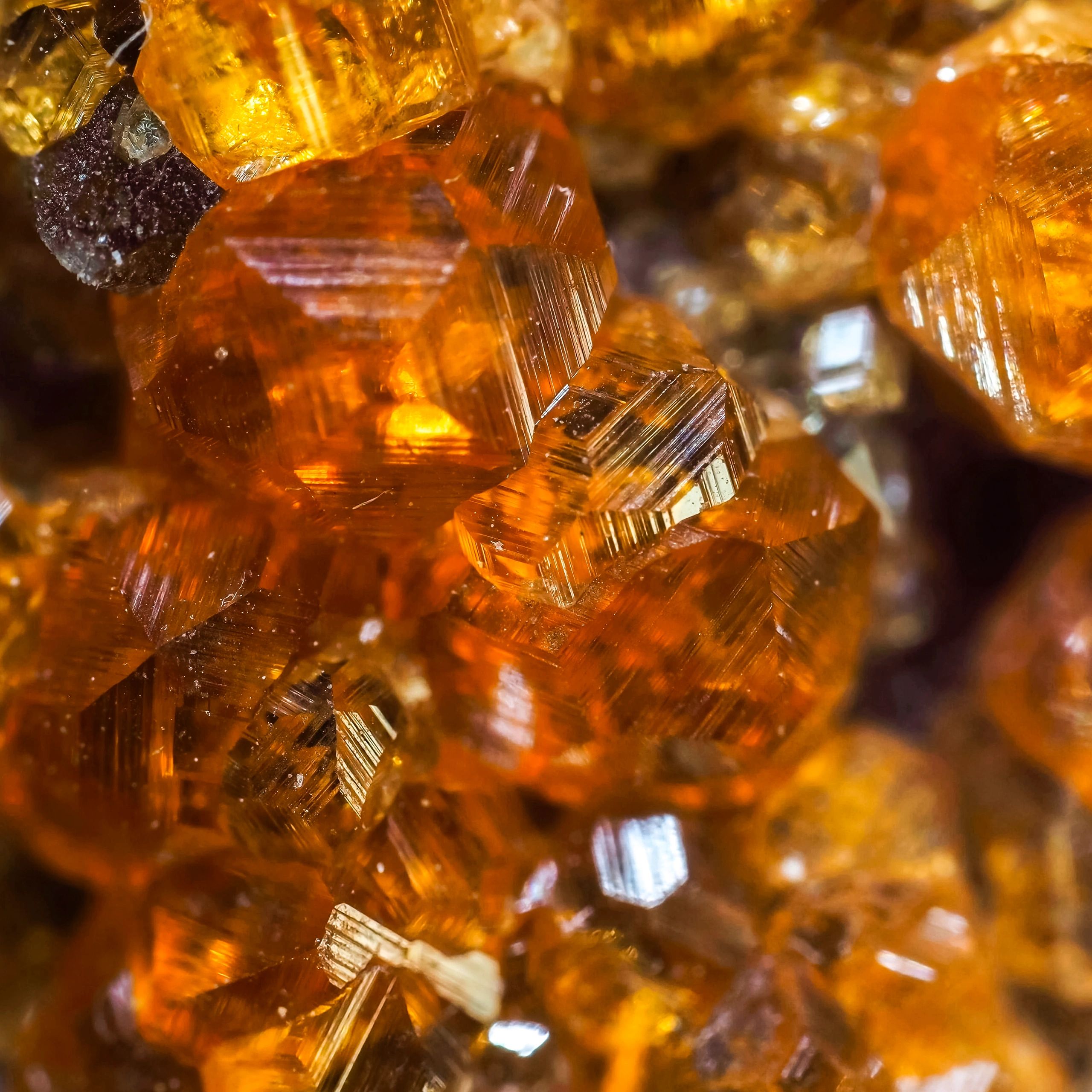 Garnet crystals showing natural crystal form and deep red color