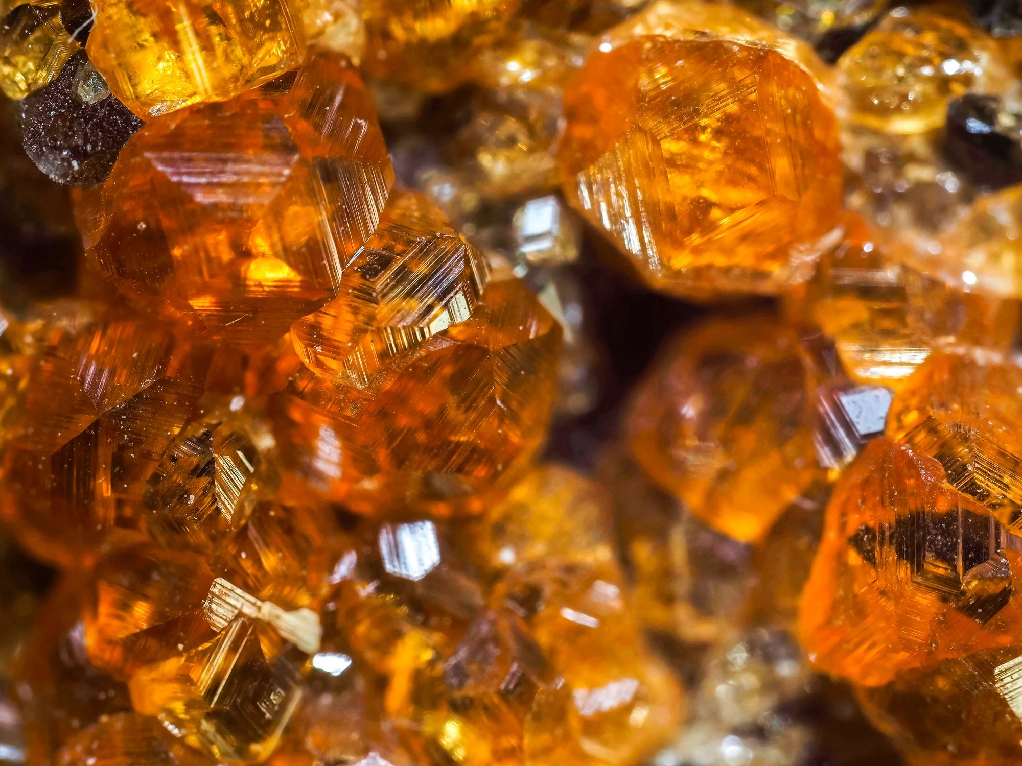 Garnet crystals specimen close-up