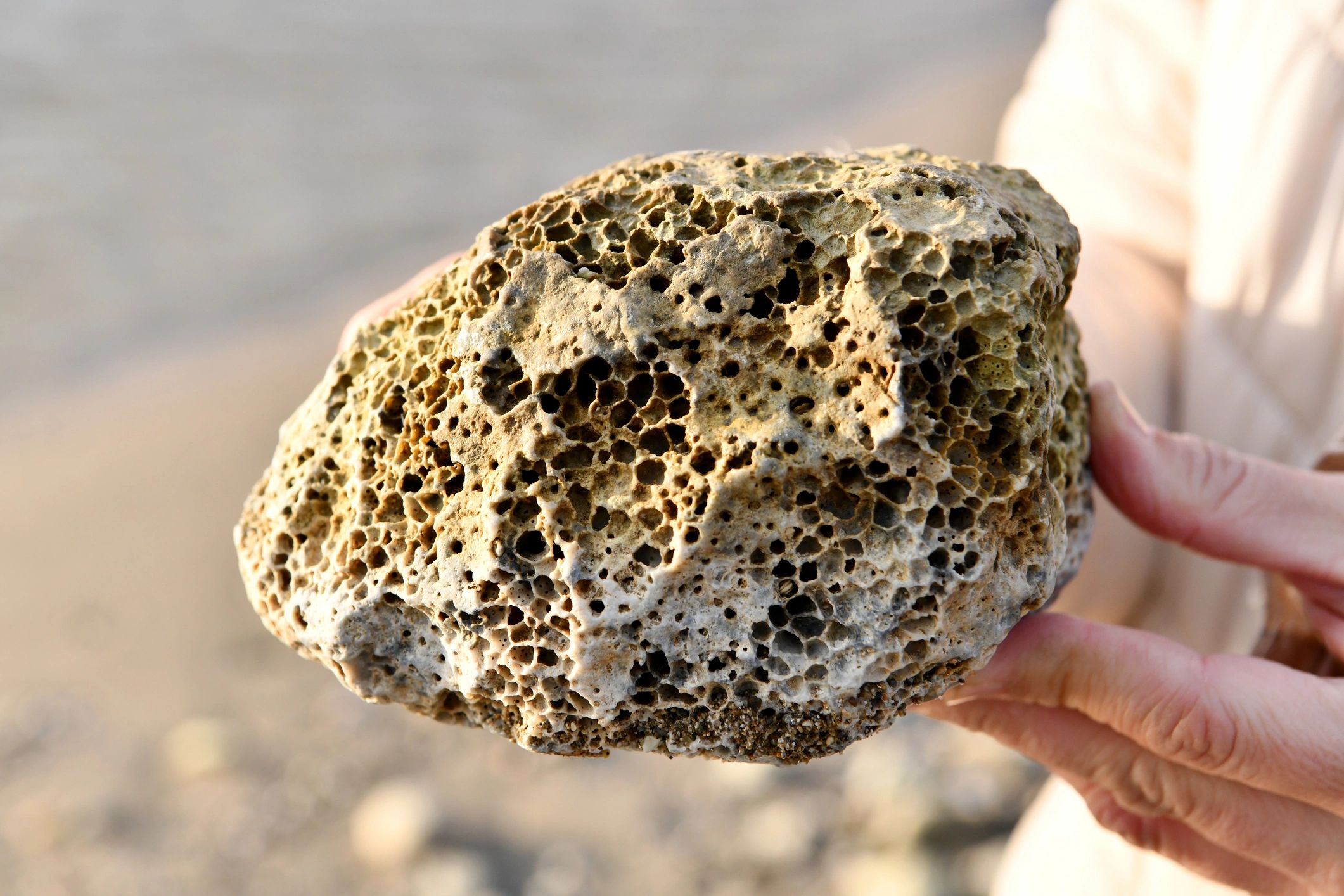 Person Holding Unique Porous Sea Rock On Sunny Beach