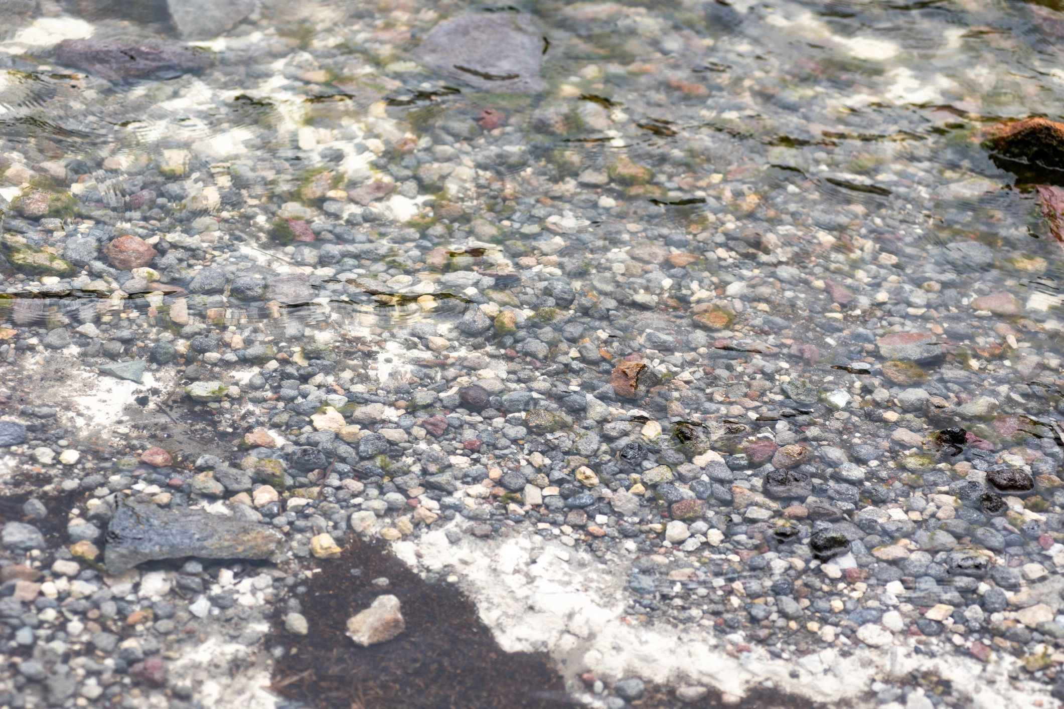Small river stones visible under clear water
