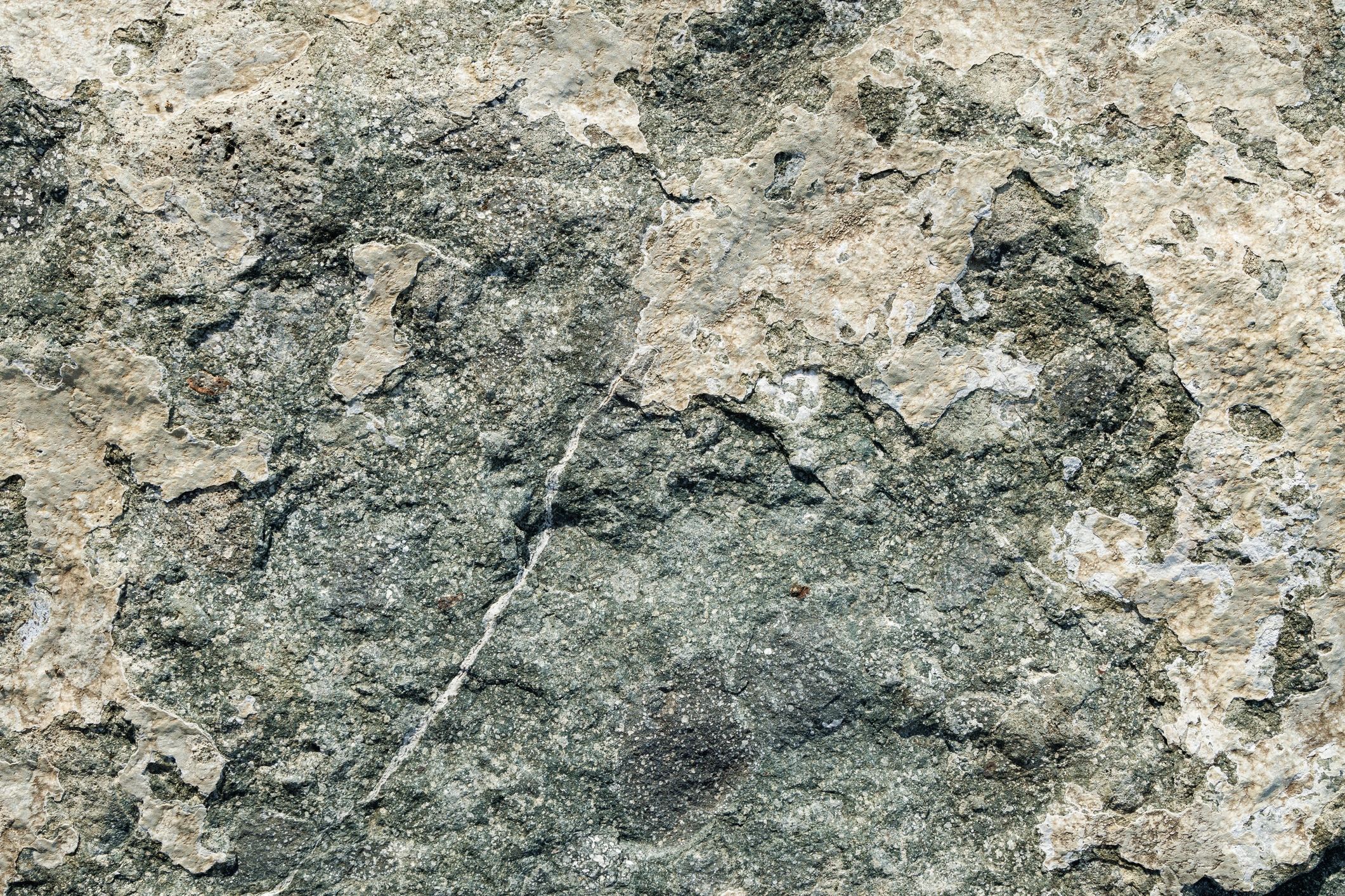 Rugged rock surface with mineral staining and a thin white vein