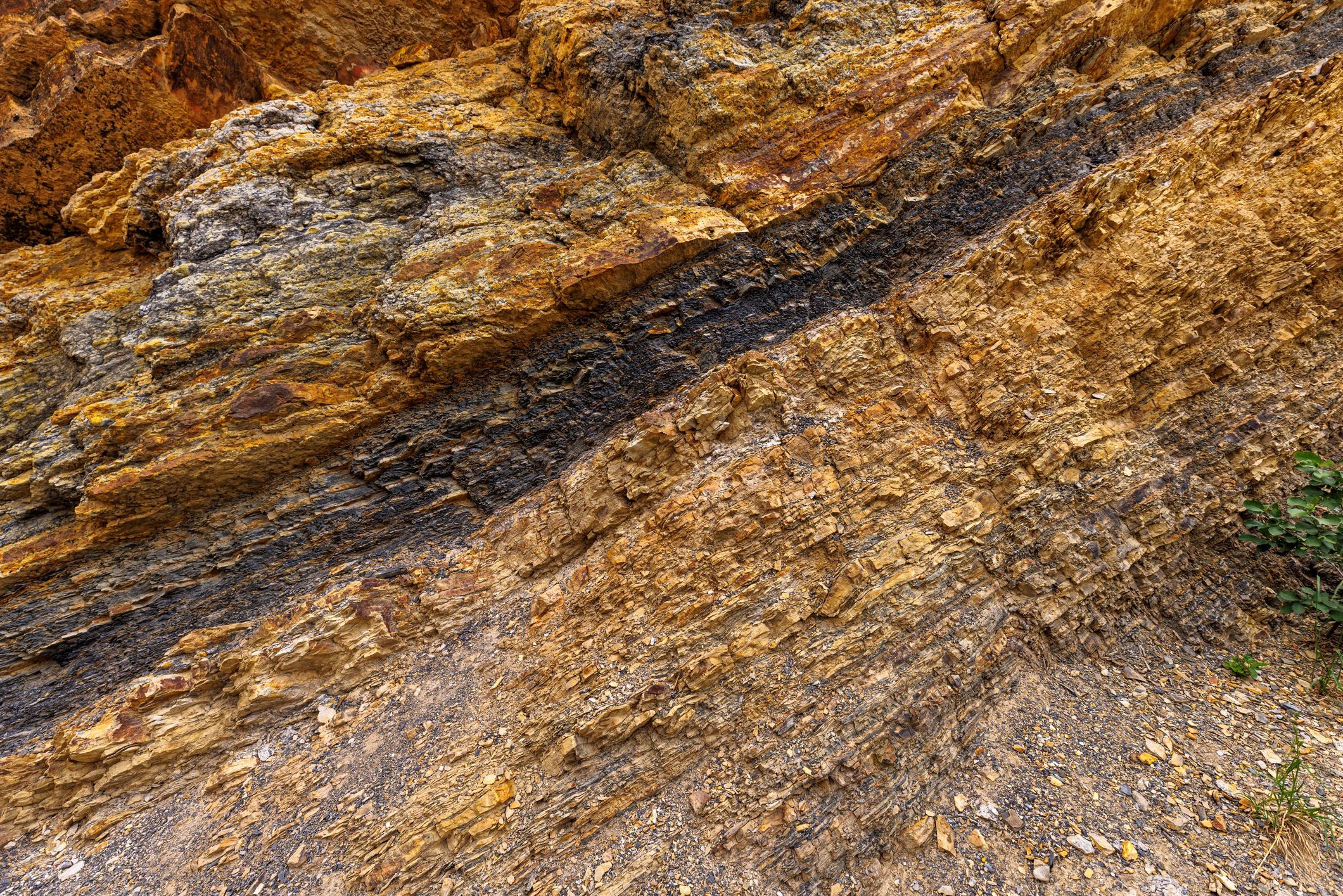 Rock face showing distinct strata and a dark mineral vein
