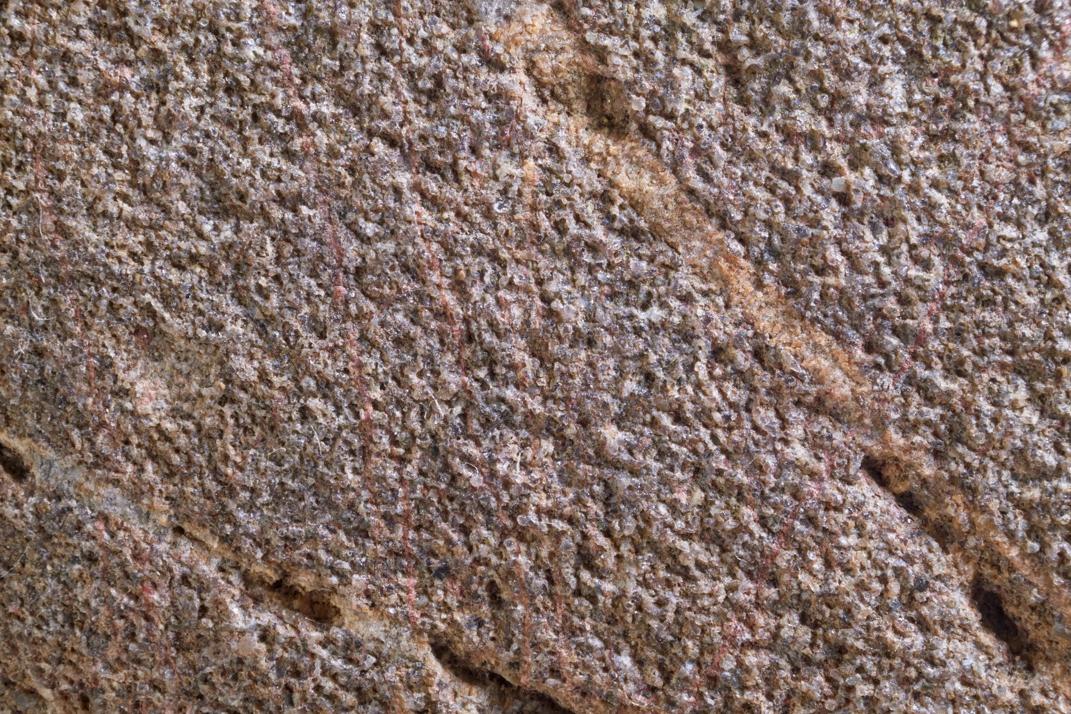 Porous limestone surface texture