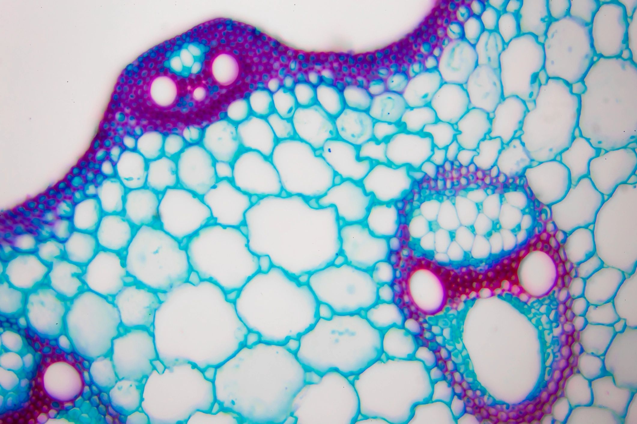 Microscope view representing stone science and mineral structure