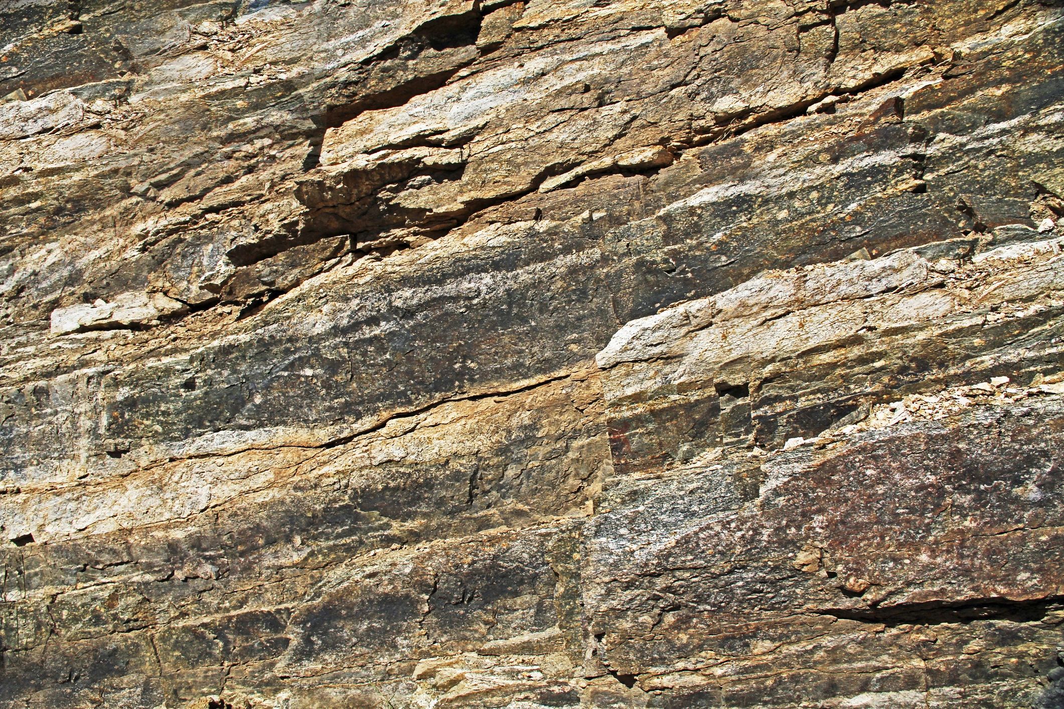 Close-up rock wall texture in Arizona
